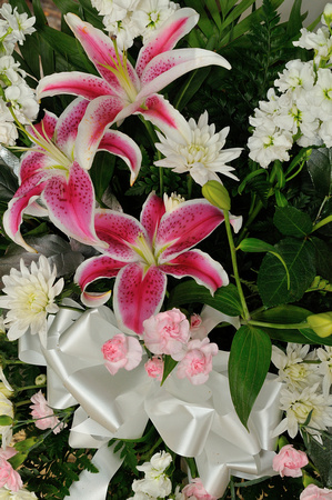 rkg photo-120113-112949